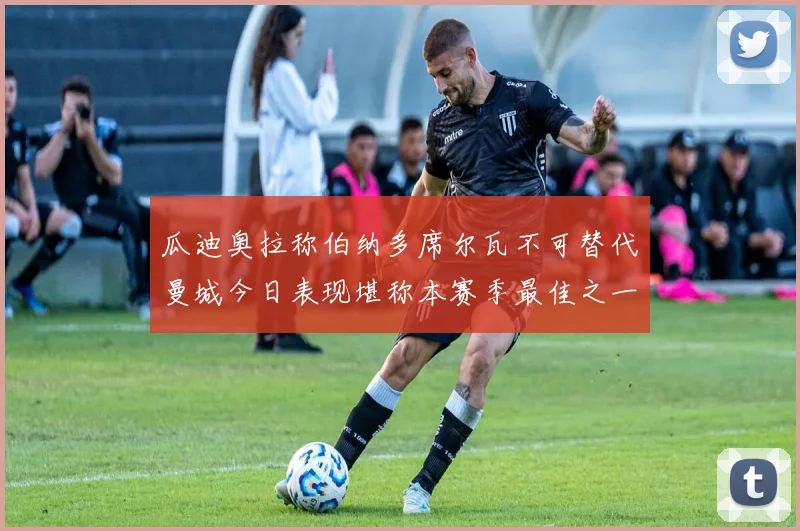 瓜迪奥拉称伯纳多席尔瓦不可替代曼城今日表现堪称本赛季最佳之一